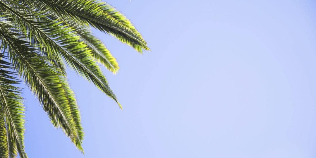 Cómo estudiar en verano para recuperar en septiembre