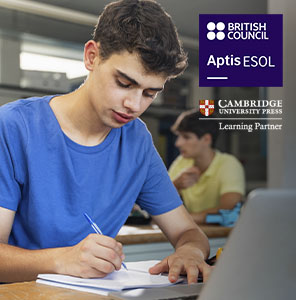curso b1 ingles online